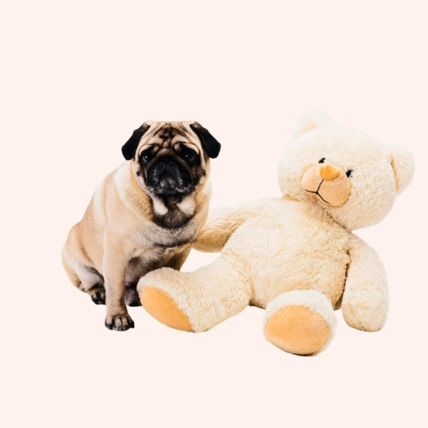 pet-toy(18)