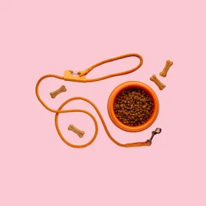 Belt & Bowl