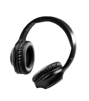 Earphones